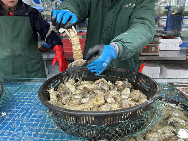 （待審核）面朝大海，丹東經濟破浪前行_fororder_遼寧行-張桐2