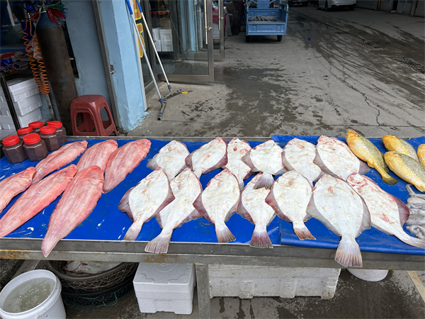 （待審核）面朝大海，丹東經濟破浪前行_fororder_遼寧行-張桐1