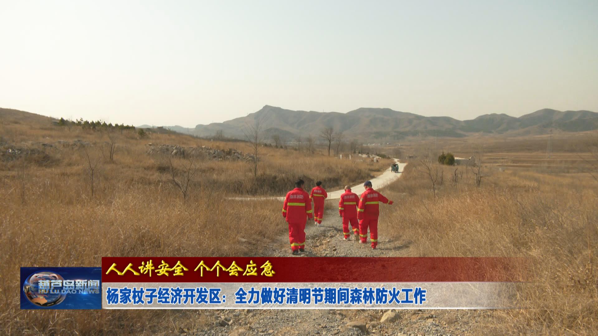 楊家杖子經濟開發區：全力做好清明節期間森林防火工作