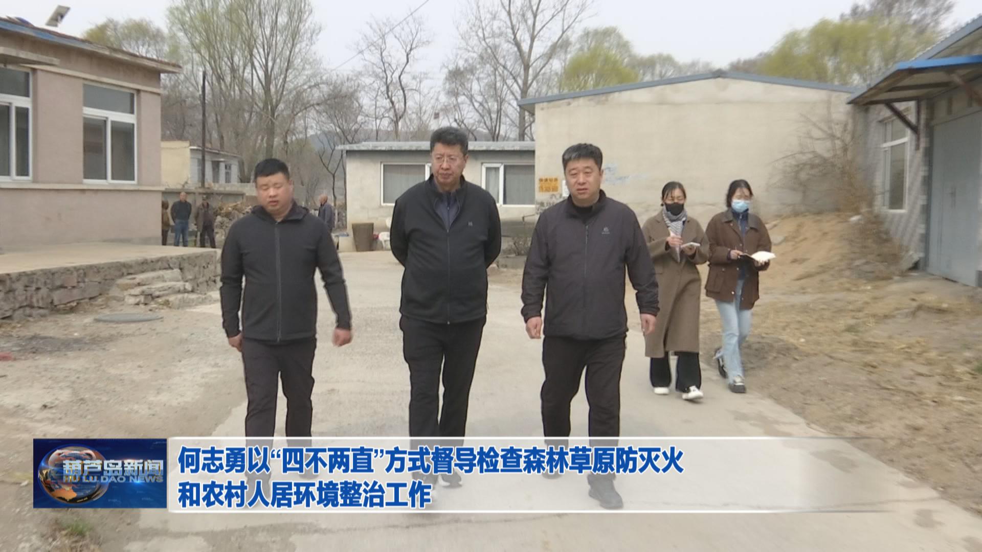 何志勇以“四不兩直”方式督導檢查森林草原防滅火和農村人居環境整治工作