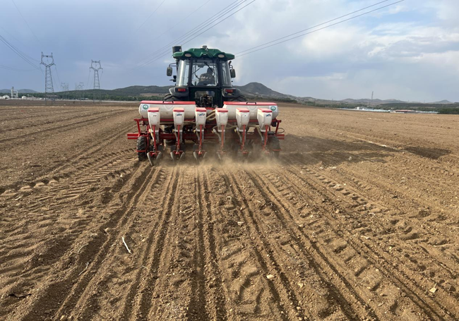 機械化播種作業。受訪者供圖