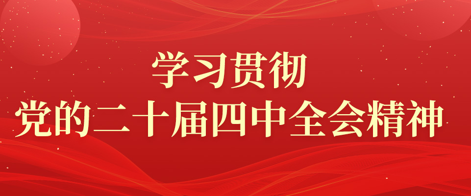 學習貫徹黨的二十屆四中全會精神